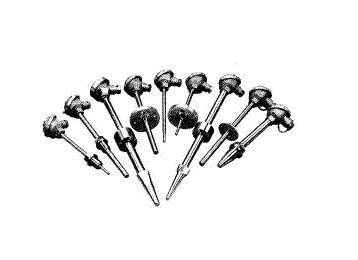 ʯ�ͻ���ר���ȵ�ż